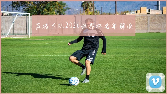 苏格兰队2026世界杯名单解读