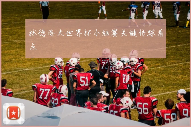 林德洛夫世界杯小组赛关键传球看点