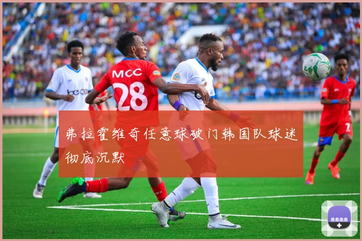 弗拉霍维奇任意球破门韩国队球迷彻底沉默
