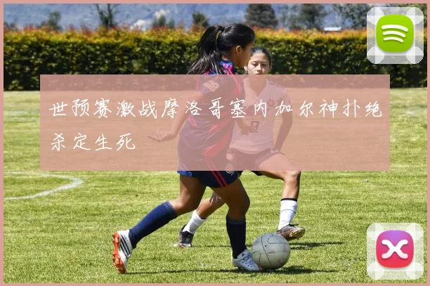 世预赛激战摩洛哥塞内加尔神扑绝杀定生死