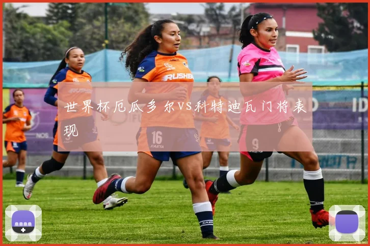 世界杯厄瓜多尔vs科特迪瓦门将表现