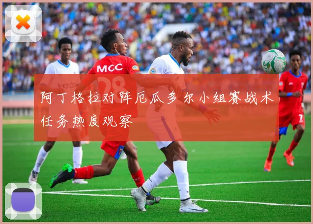阿丁格拉对阵厄瓜多尔小组赛战术任务热度观察